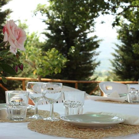 Agriturismo La Colombaia Villa Vicchio Exterior foto