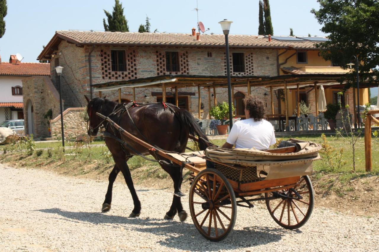 Agriturismo La Colombaia Villa Vicchio Exterior foto