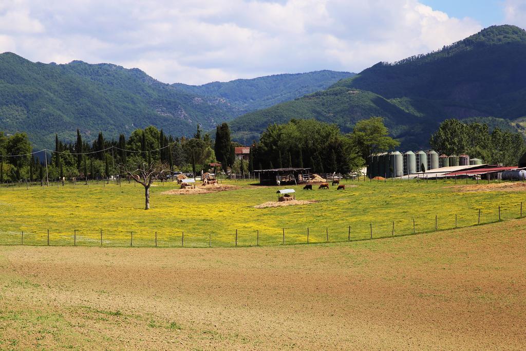 Agriturismo La Colombaia Villa Vicchio Exterior foto
