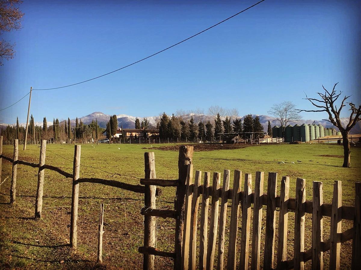 Agriturismo La Colombaia Villa Vicchio Exterior foto